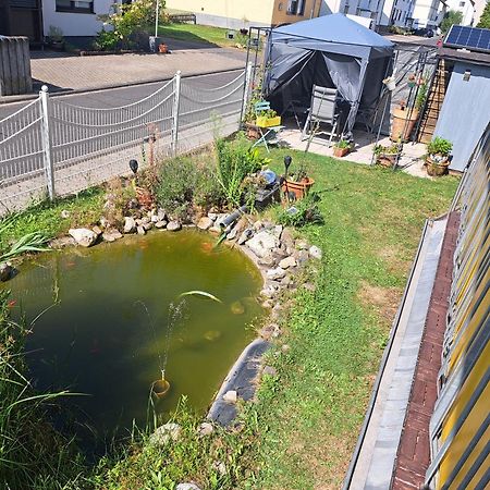 Ferienwohnung Hilgert Sankt Sebastian Esterno foto