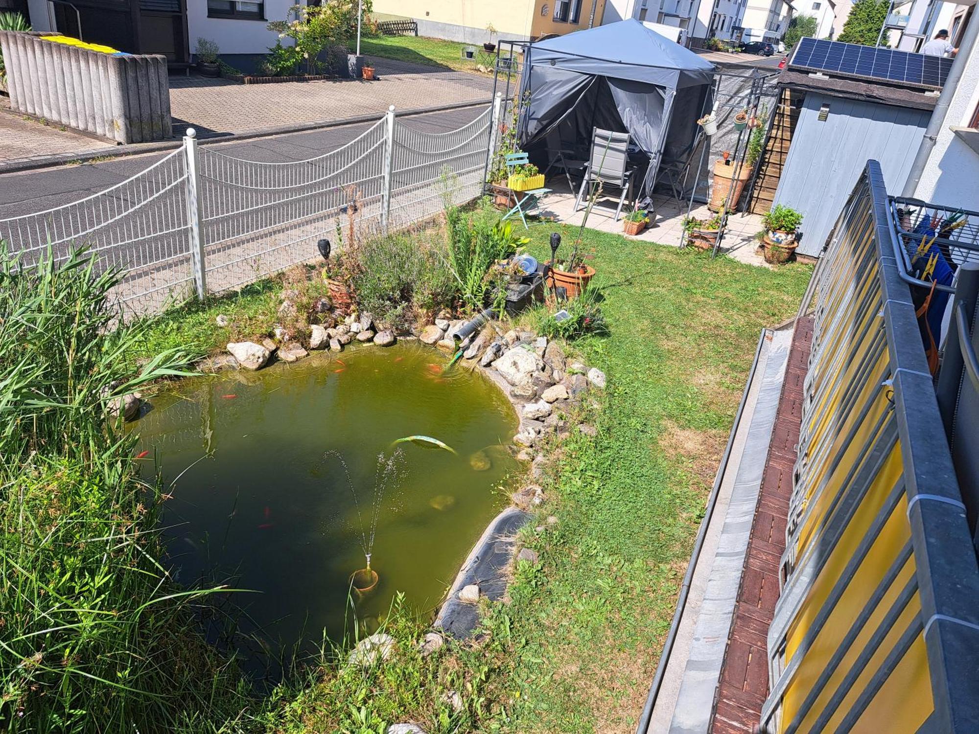 Ferienwohnung Hilgert Sankt Sebastian Esterno foto